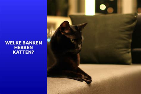 pesobeb1|pesobeb1 welke bank.